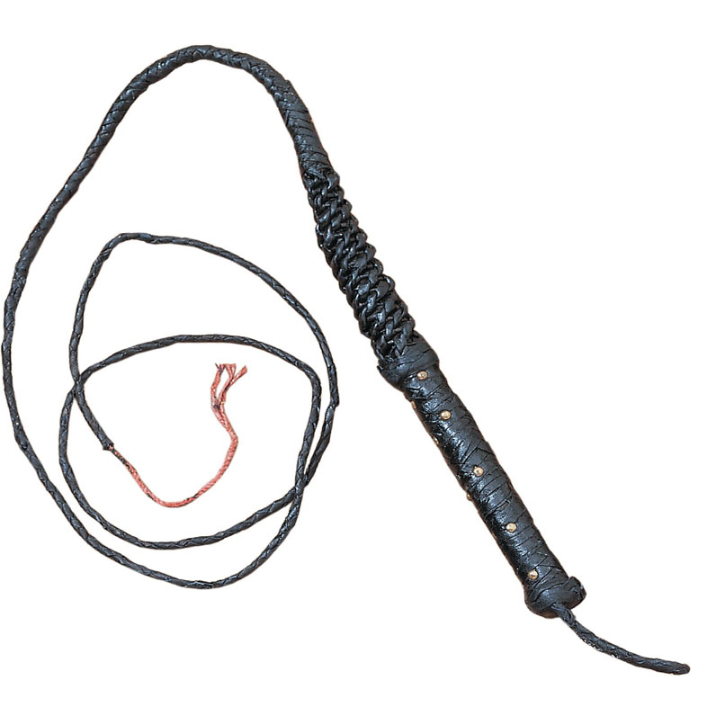 BULL WHIP