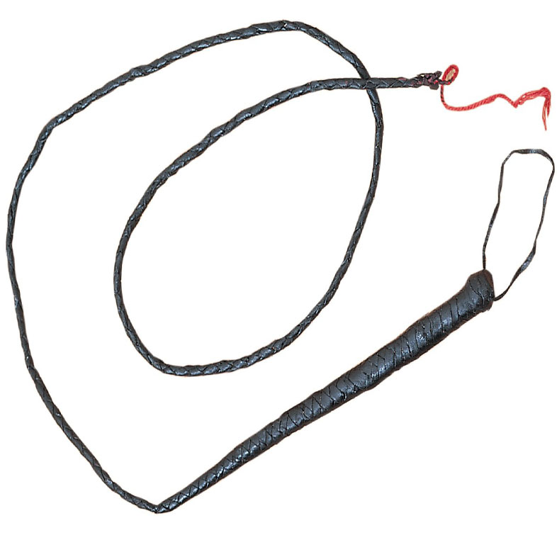 BULL WHIP