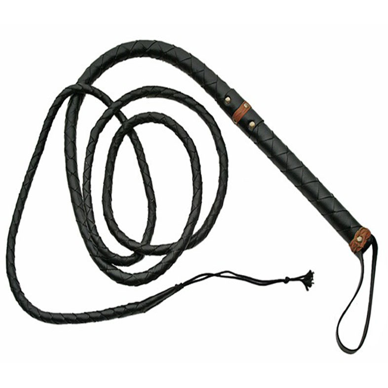 BULL WHIP
